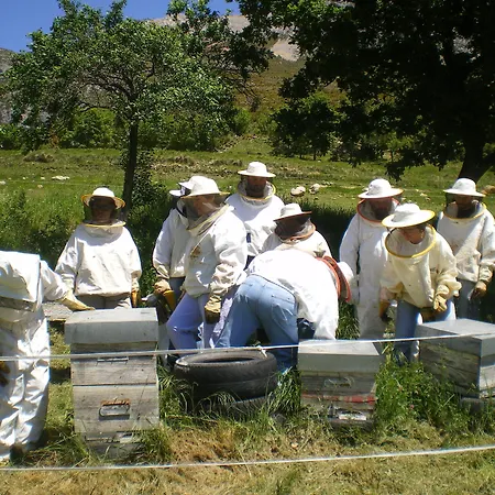 Farm stay Casa Fumenal Padarniu