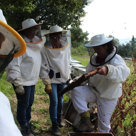 Farma Casa Fumenal Padarniu