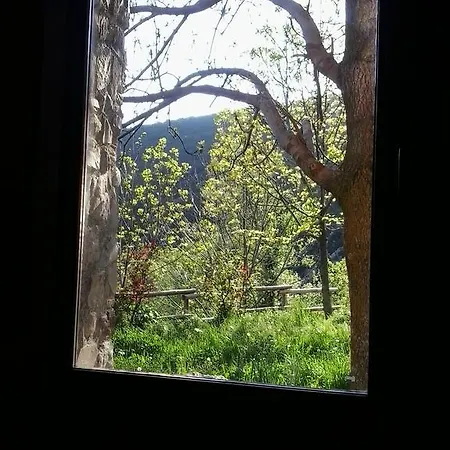 Farm stay Casa Fumenal