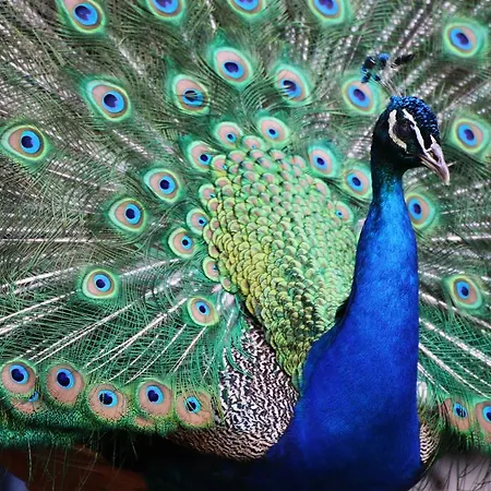 福门内尔之家农家乐