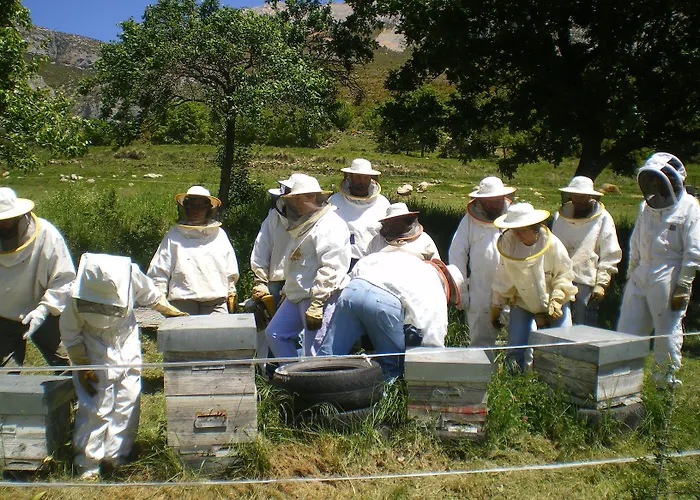 Farm stay Casa Fumenal Padarniu