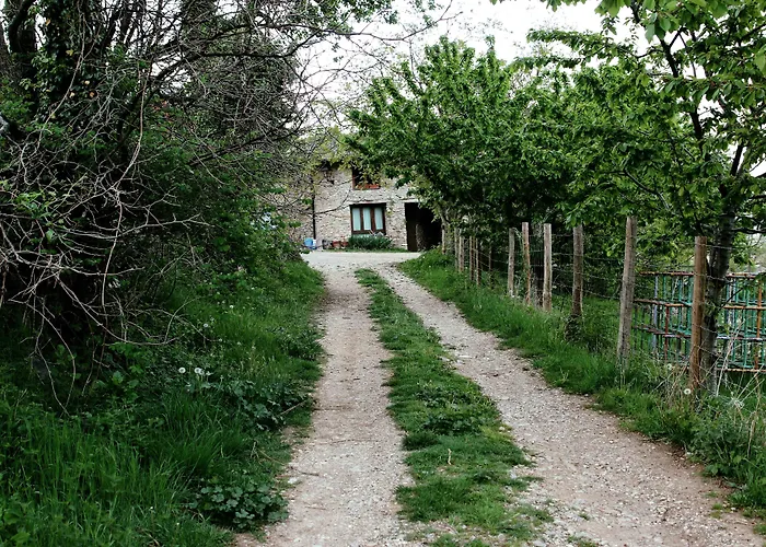 Farm stay Casa Fumenal *