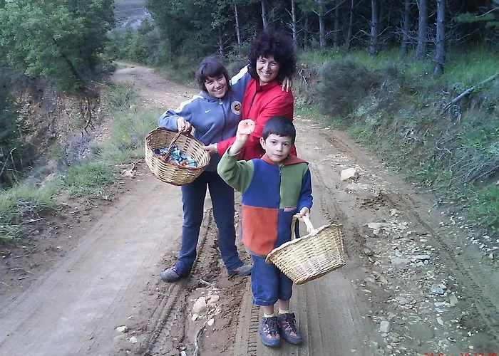 Farm stay Casa Fumenal *