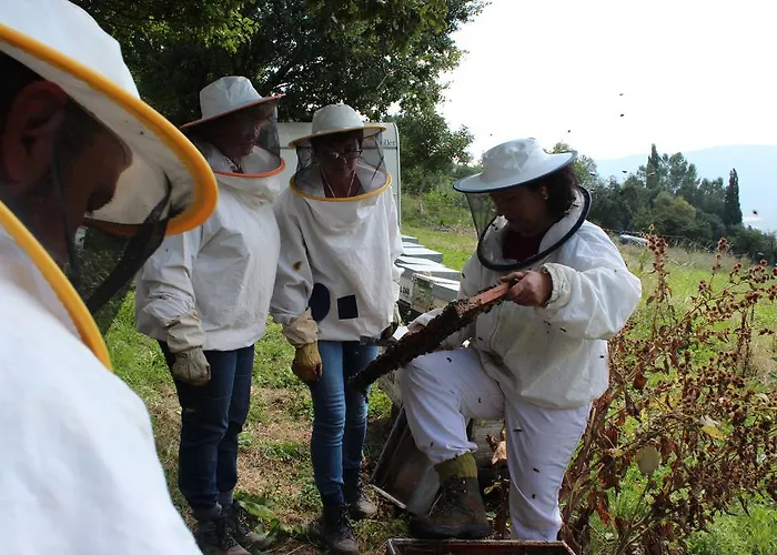 Farm stay Casa Fumenal Padarniu